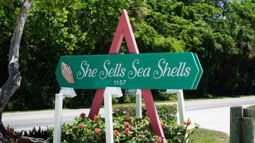 Grünes Wegweiserschild mit der Aufschrift ‚She Sells Sea Shells‘ und der Hausnummer 1157, montiert auf einem pinken A‑Rahmen. Links ist ein stilisiertes Muschel‑Symbol zu sehen. Das Schild steht am Straßenrand vor dichtem, grünem Buschwerk an einem sonnigen Tag.